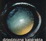 (29kB)