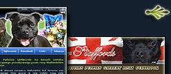 (33kB)