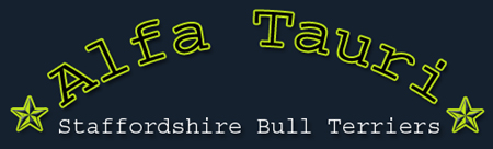 (44kB)